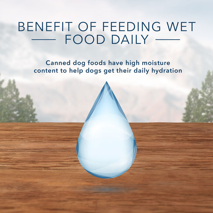 66778 product detail number 1.0