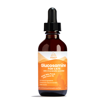Paramount Pet Health Liquid Glucosamine for Cats - 2 oz Bottle-product-tile