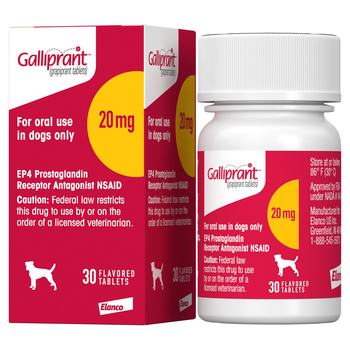 Galliprant Osteoarthritis Treatment Chewable Tablets for Dogs - 20 mg, 30 ct-product-tile