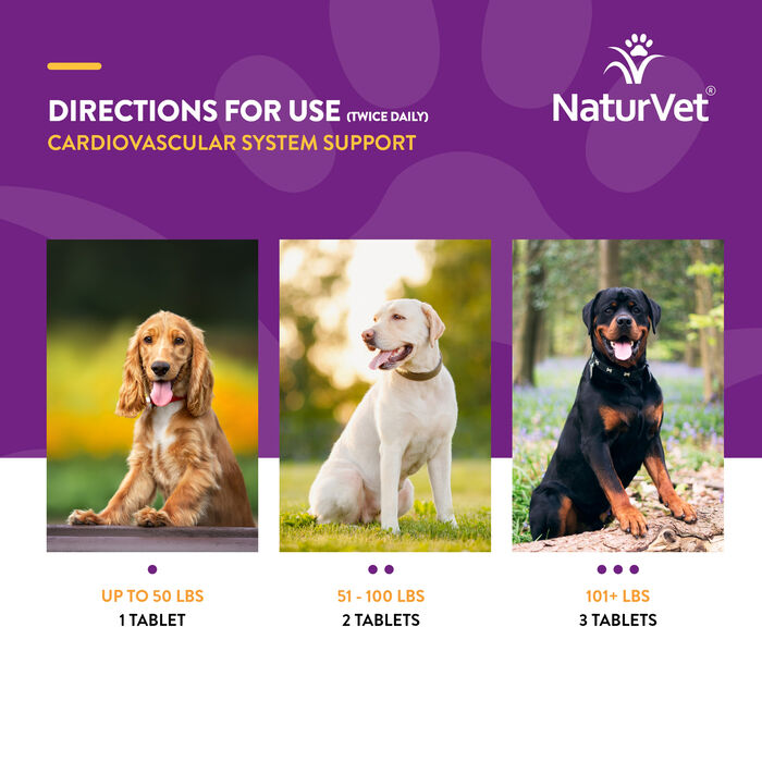 62999 product detail number 1.0