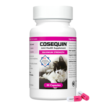 Nutramax Cosequin® Maximum Strength Joint Health Supplement Capsules for Cats - 30 Count-product-tile