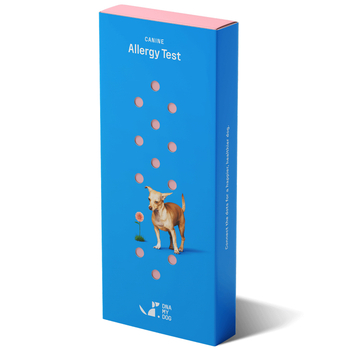 DNA My Dog Allergy Test-product-tile
