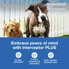 Bundle: Seresto + Interceptor Plus - Flea, Tick, & Heartworm Prevention Bundle for Dogs