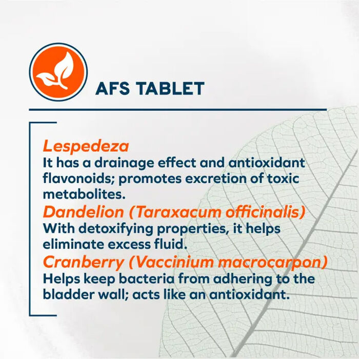 61125 product detail number 1.0