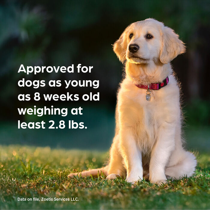 13399 product detail number 1.0