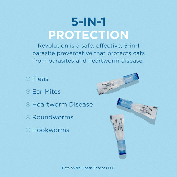 10365 product detail number 1.0