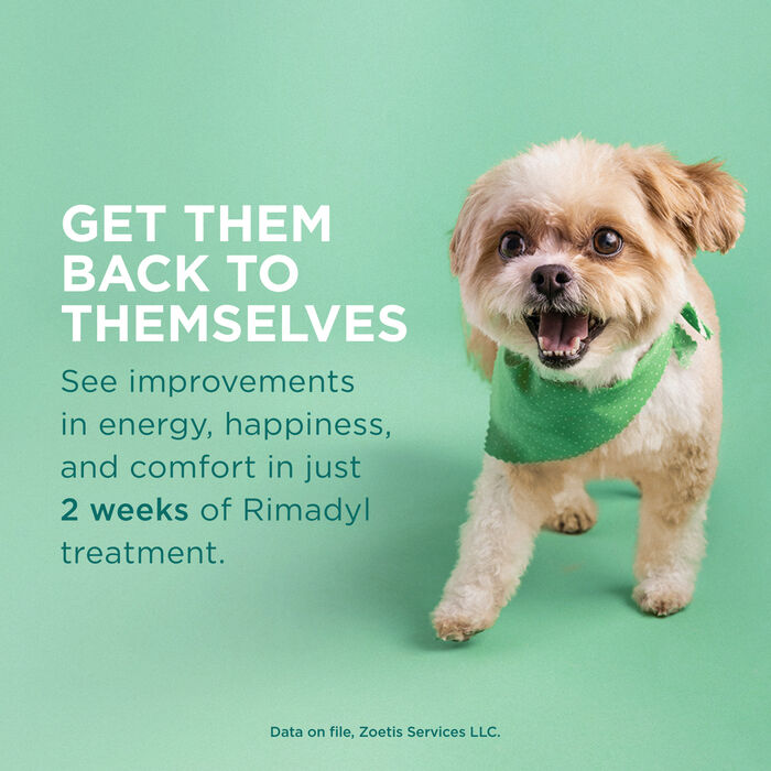 102630 product detail number 1.0