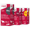 Bundle: Galliprant + Greenies - Joint Health Bundle for Dogs
