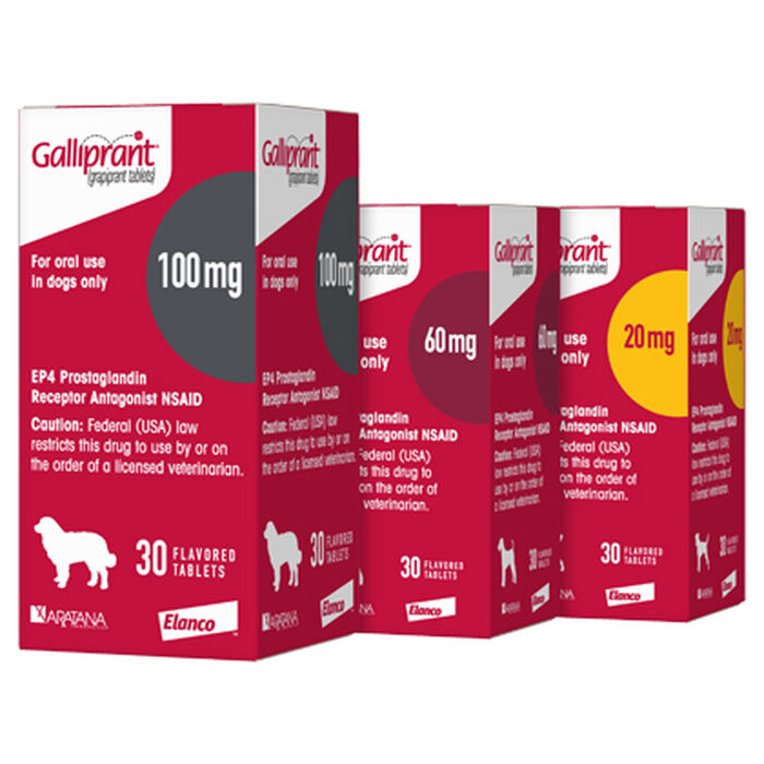 Bundle: Galliprant + Greenies - Joint Health Bundle for Dogs product detail number 1.0
