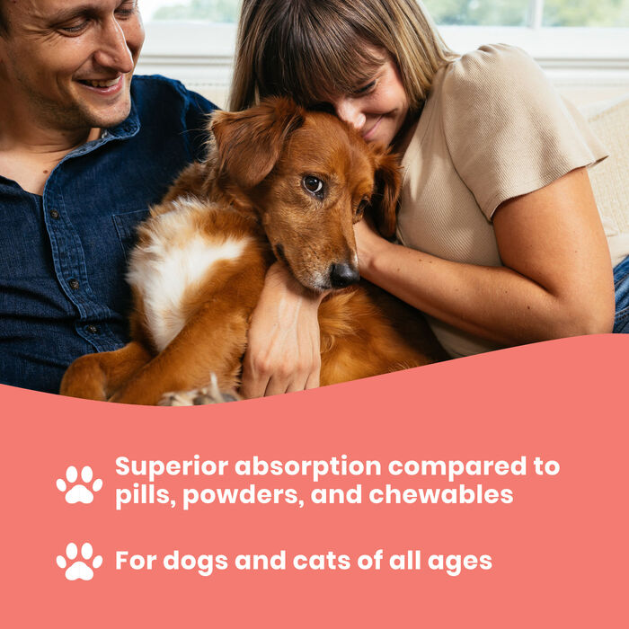 14295 product detail number 1.0