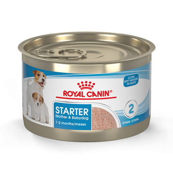 Royal Canin Size Health Nutrition Starter Mother & Babydog Mousse In Sauce Wet Dog Food - 5.1 oz Cans - Case of 24-product-tile