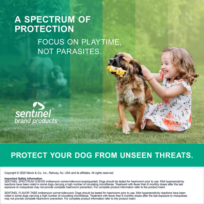 10118 product detail number 1.0