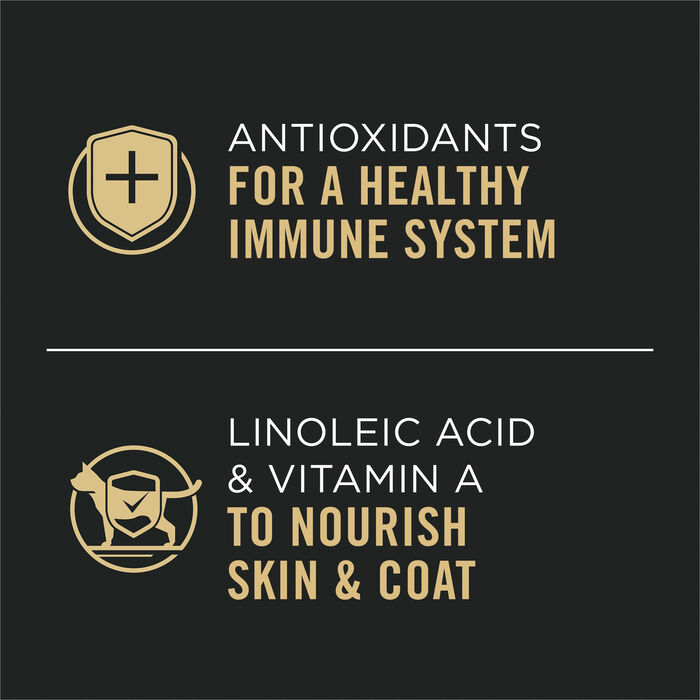 61646 product detail number 1.0