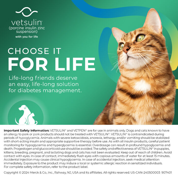 12420 product detail number 1.0