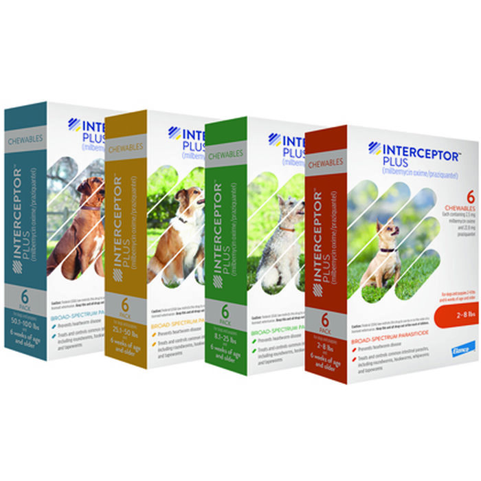 Bundle: Seresto + Interceptor Plus - Flea, Tick, & Heartworm Prevention Bundle for Dogs product detail number 1.0
