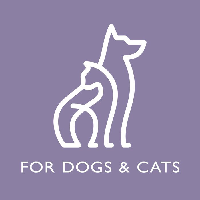 62696 product detail number 1.0