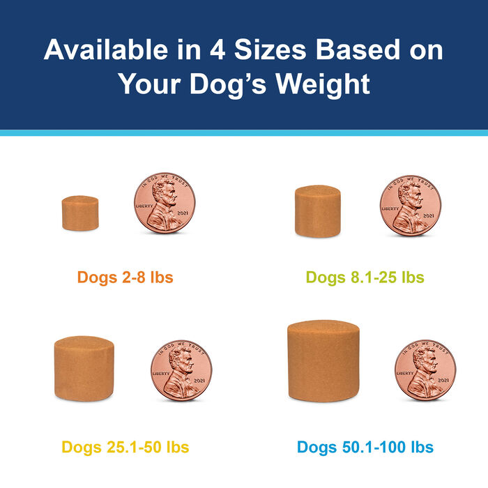Bundle: Bravecto Flea & Tick  + Sentinel Spectrum Chews for Dogs product detail number 1.0