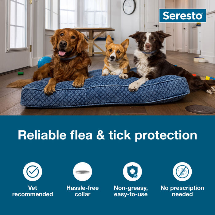 Bundle: Seresto + Interceptor Plus - Flea, Tick, & Heartworm Prevention Bundle for Dogs product detail number 1.0