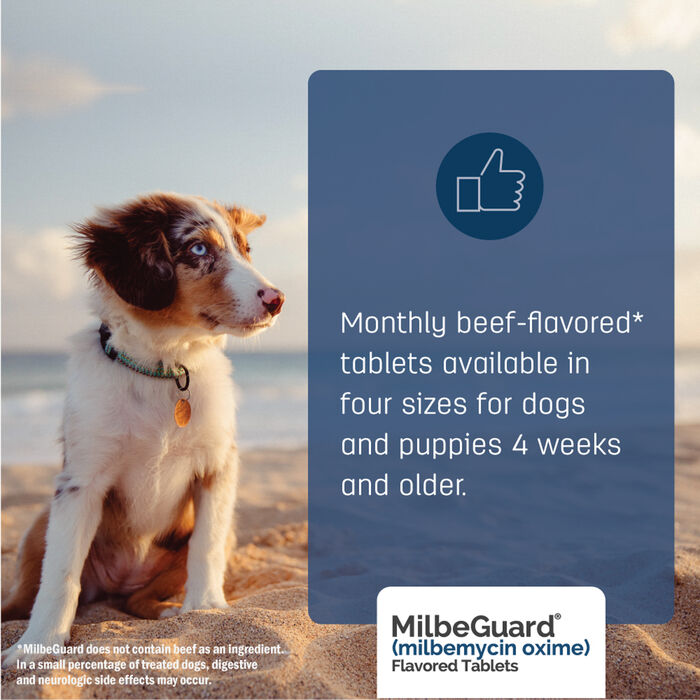 Bundle: Flea5X Plus + MilbeGuard - Flea, Tick, & Heartworm Prevention Bundle for Dogs product detail number 1.0