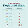 Bundle: Simparica Trio + Alzoo - Total Defense Ultimate Parasite Protection Bundle for Dogs