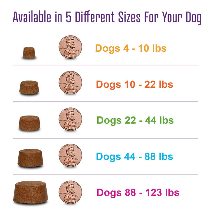 Bundle: Bravecto Flea & Tick  + Sentinel Spectrum Chews for Dogs product detail number 1.0