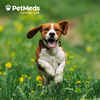 Bundle: Capstar + Flea5X Plus - Flea Treatment Bundle for Dogs