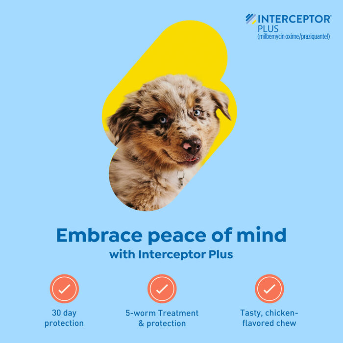 Bundle: Seresto + Interceptor Plus - Flea, Tick, & Heartworm Prevention Bundle for Dogs product detail number 1.0