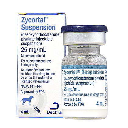 Zycortal Suspension