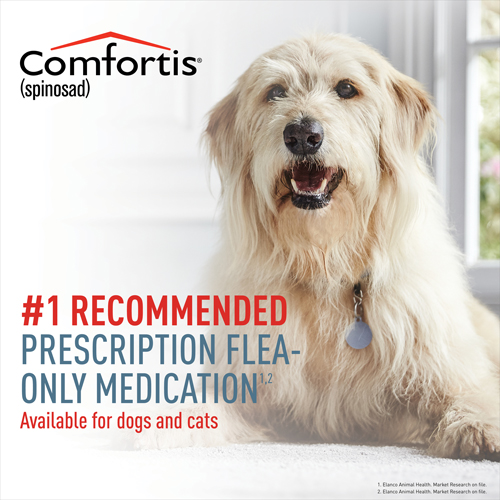 Comfortis is the #1 recommended Rx Flea-only medication for dogs and cats